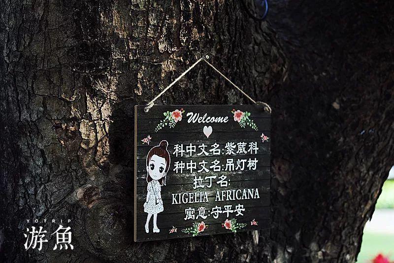 杨紫《要久久爱》首播一片差评:演技一成不变,比范丞丞老太多!