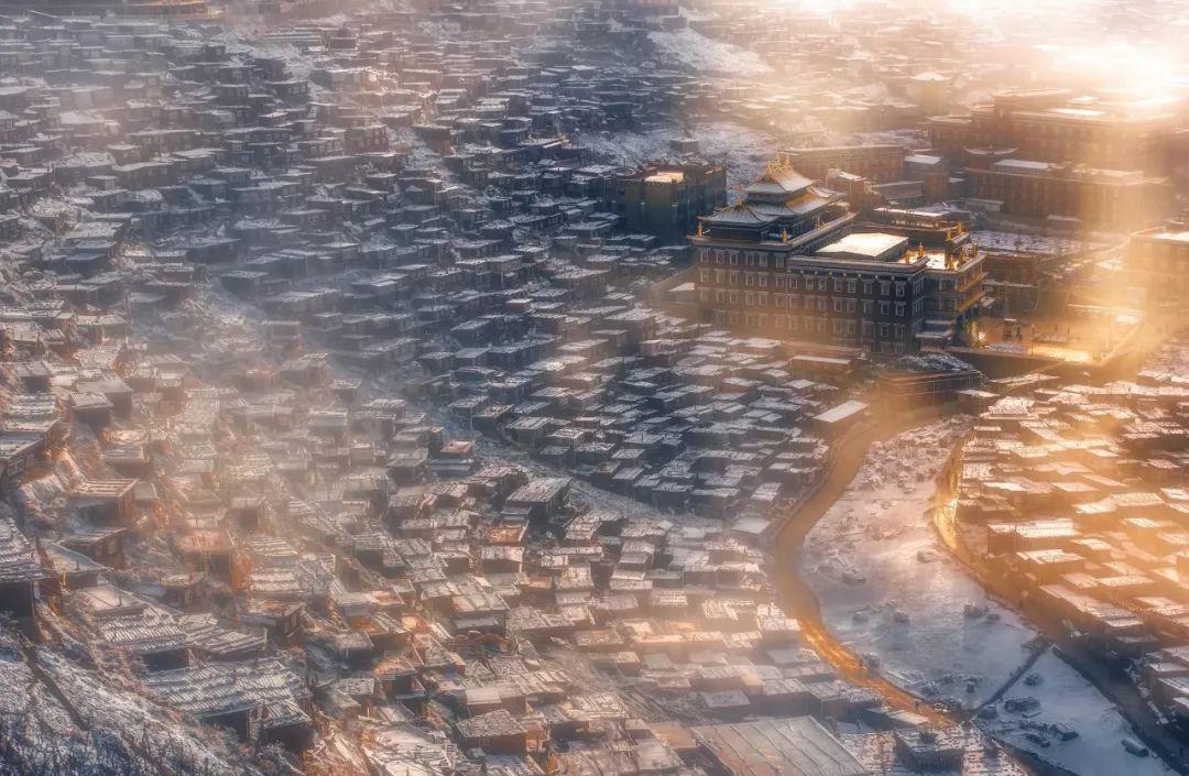 熊出没水果大陆2