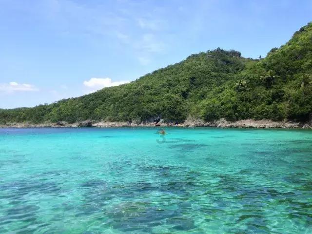 小猫钓鱼游戏龙王版有船