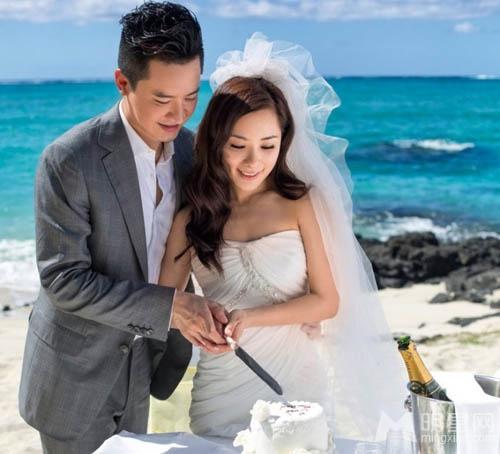 赤麻鸭现身青海门源县