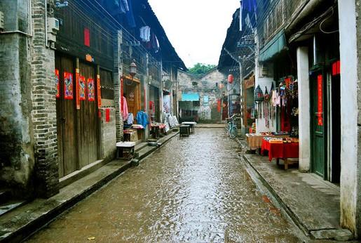 雨后盛放