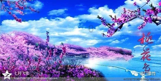 山东泰山身上,崔康熙色彩愈发浓郁,李霄鹏时期两大新星日渐黯淡